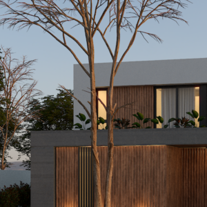 Capactiación Online para Estudiante y Profesionales